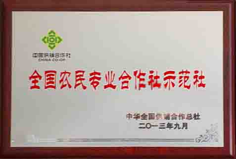 全國合作社示范社