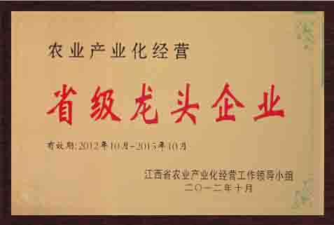 省級龍頭企業(yè)